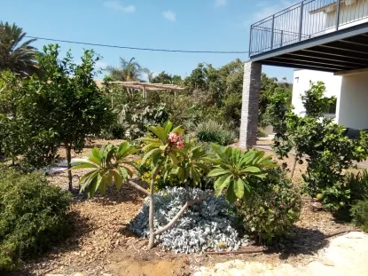 גינות לגלריה 23